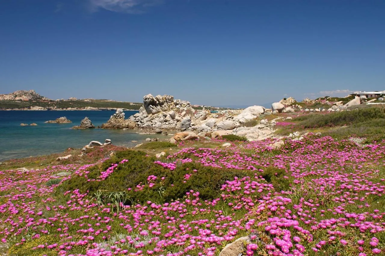 Cuore Di Sardegna Valledoria  Italy
